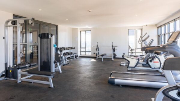Modern gym with treadmills, stationary bikes, weight machines, and dumbbells in a well-lit room with large windows.