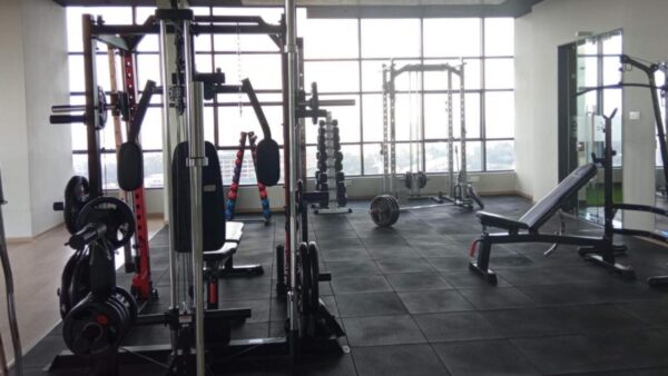 Modern gym with weight machines, dumbbells, barbells, and benches on black rubber flooring, large windows in background.