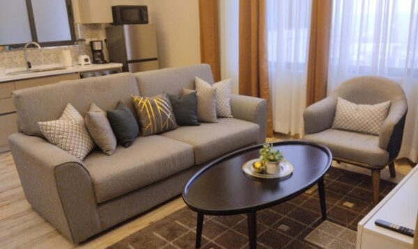 Cozy living room with a gray sofa, patterned pillows, armchair, oval coffee table, and a small plant; kitchen in the background.