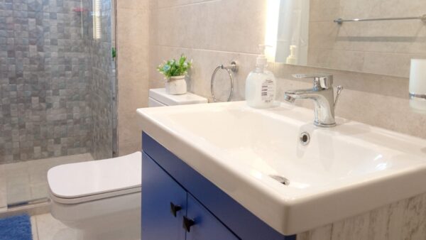 Modern bathroom with blue vanity, white sink, silver faucet, soap dispenser, potted plant, and a glass walk-in shower.