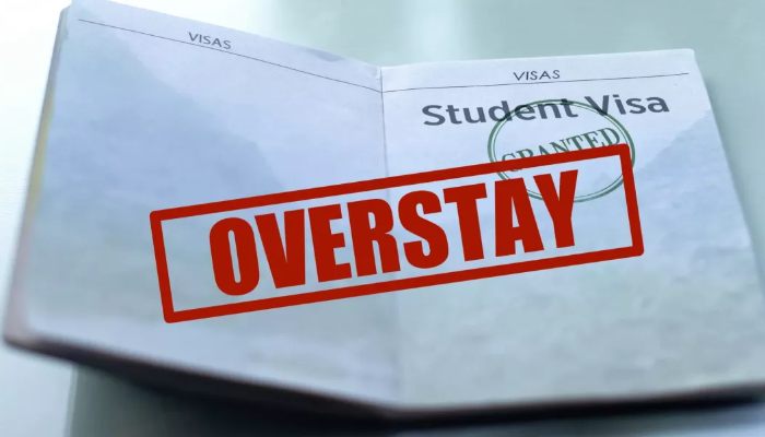 What Happens If Your Kenyan Visa Expires?