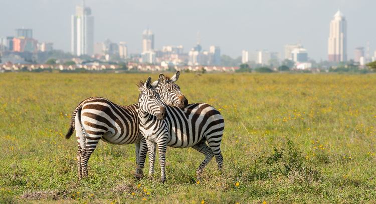 Best National Parks Near Nairobi